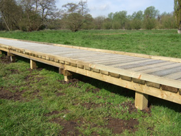Timber boardwalk