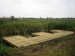 Timber pond dipping platform