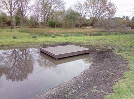 Recyled plastic pond dipping platform