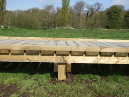 Timber boardwalk
