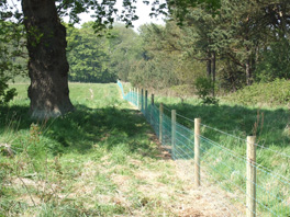 High tensile stock fencing