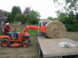 Unloading green hay