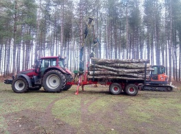 Timber extraction