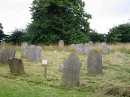 Mown churchyard