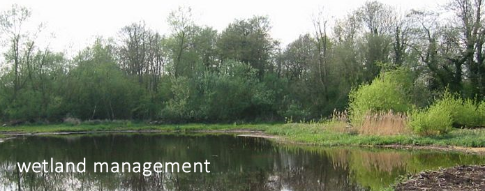 Wetland management